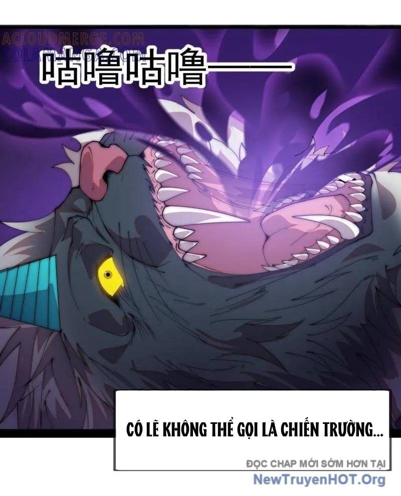 Ta Có Một Sơn Trại