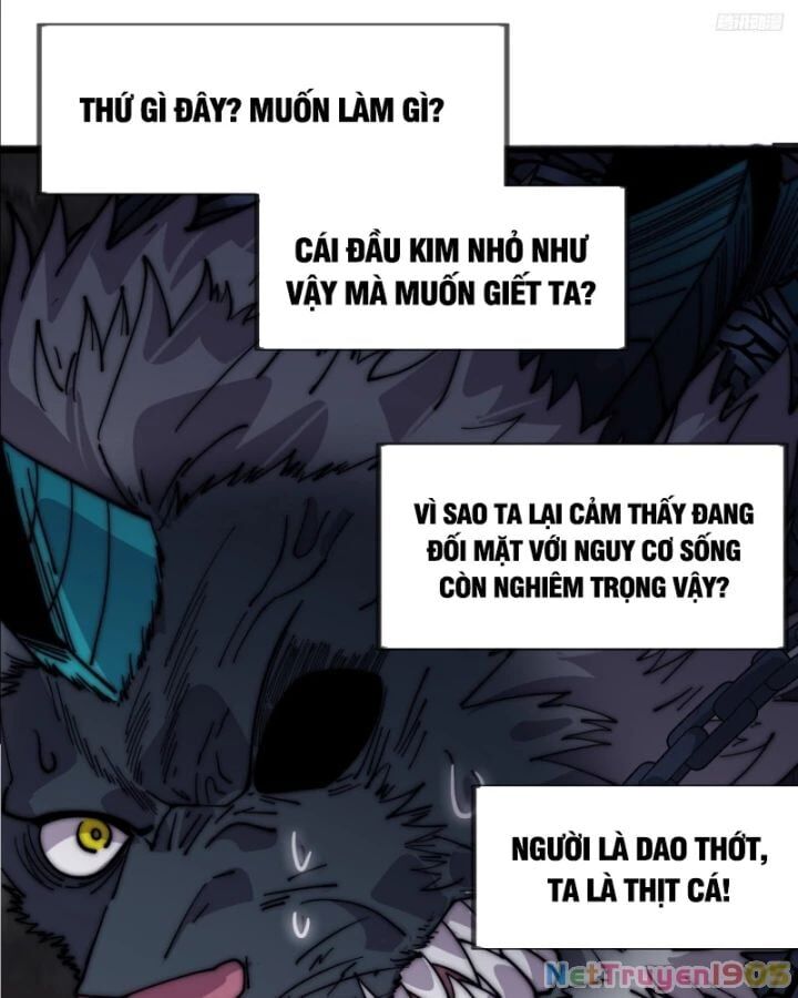 Ta Có Một Sơn Trại