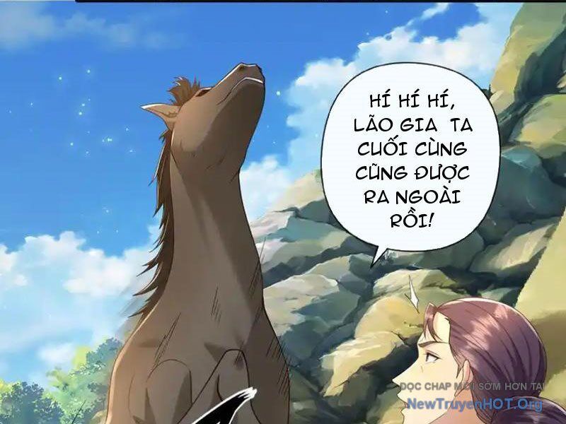 Ta Có Thể Đốn Ngộ Vô Hạn
