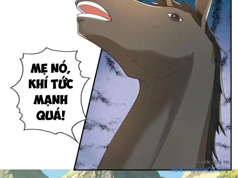 Ta Có Thể Đốn Ngộ Vô Hạn