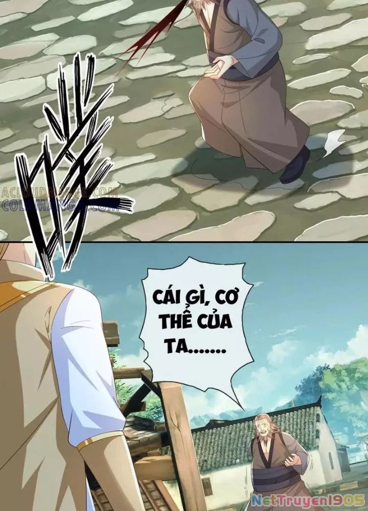 Ta Có Thể Đốn Ngộ Vô Hạn