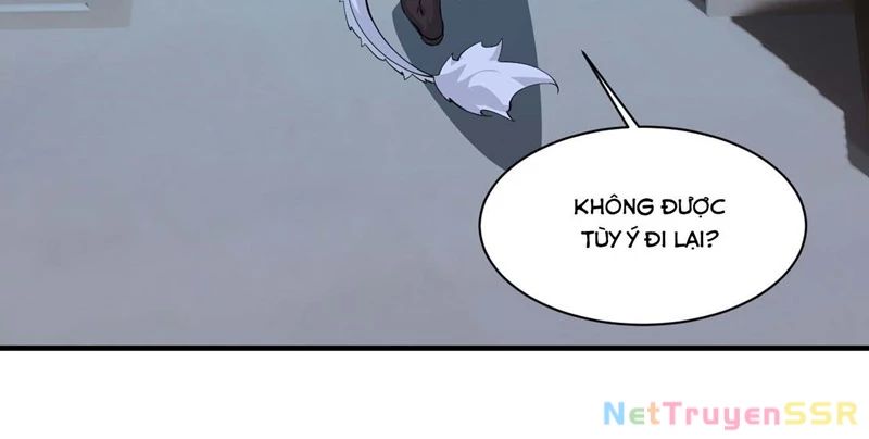 Trời sinh mị cốt, ta bị đồ nhi yandere để mắt tới