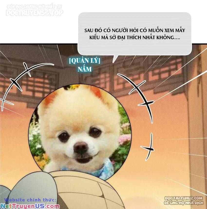 Nữ chính từ trong sách chạy ra ngoài rồi phải làm sao đây