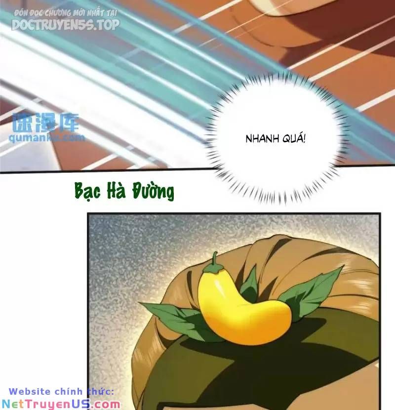 Nữ chính từ trong sách chạy ra ngoài rồi phải làm sao đây