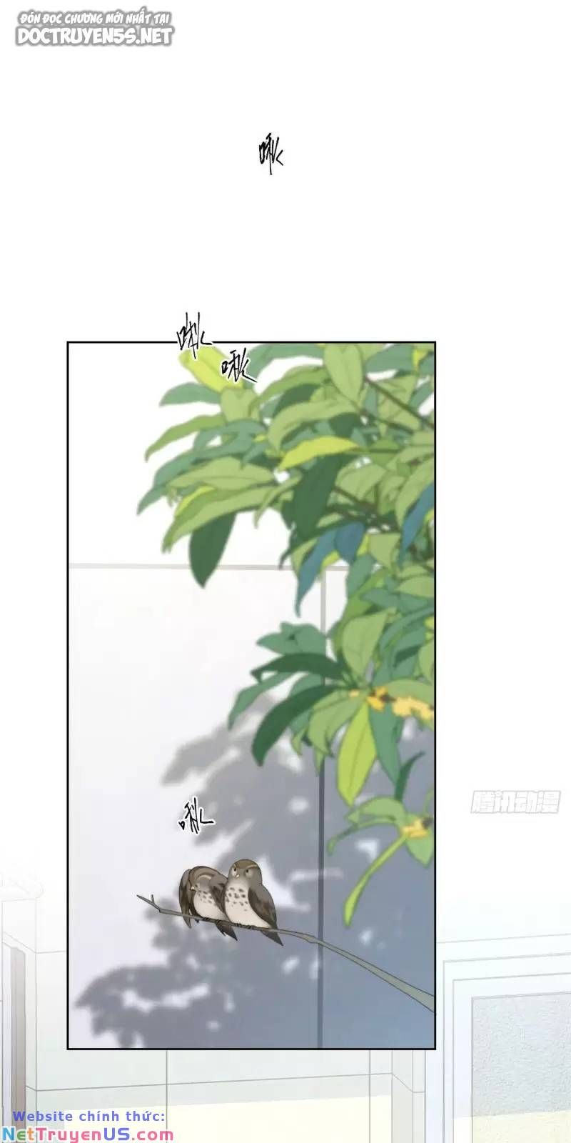 Nữ chính từ trong sách chạy ra ngoài rồi phải làm sao đây