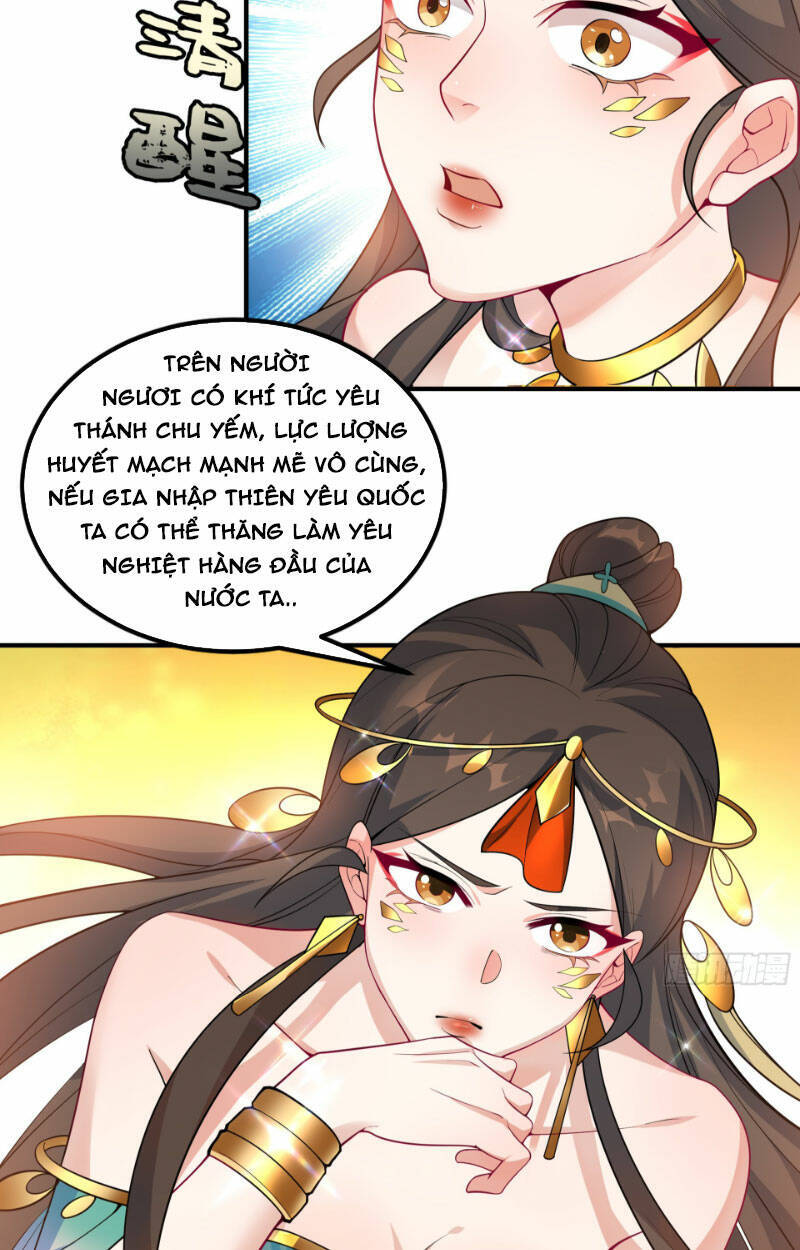 Vạn Đạo Chúa Tể