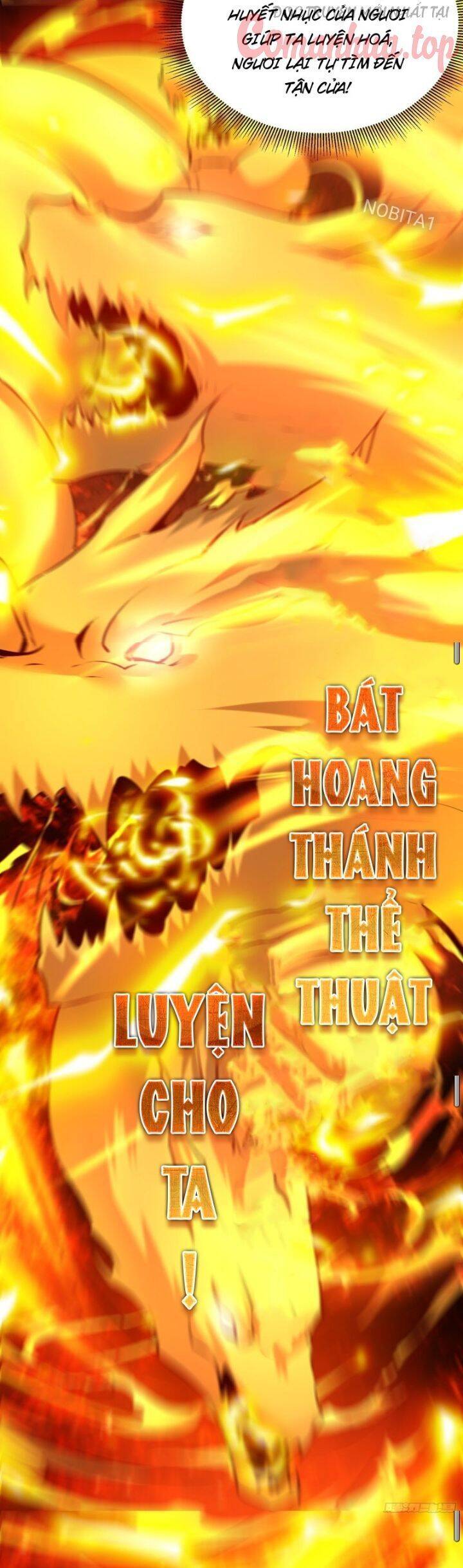 Vạn Đạo Chúa Tể