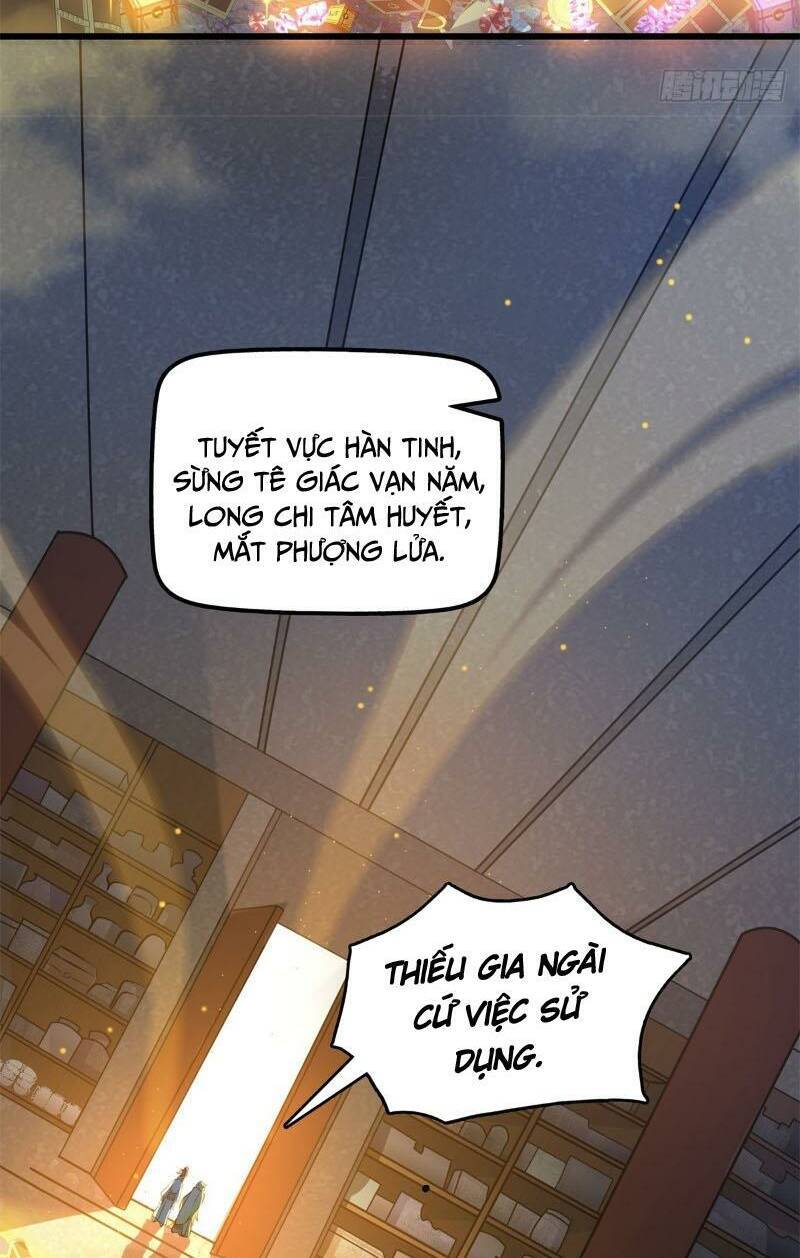 Vạn Đạo Chúa Tể