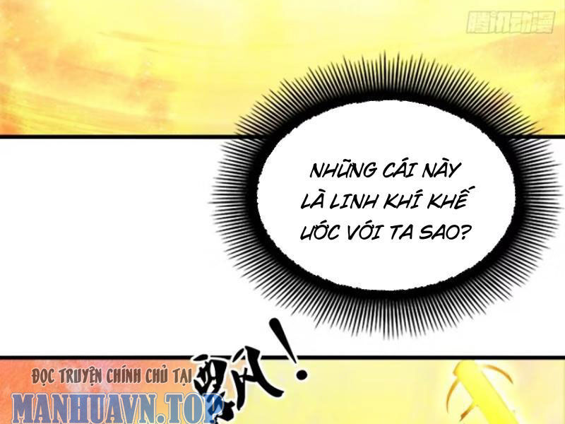 Ngươi Là Hạng Người Gì Cũng Dám Ở Tiên Giới Lên Mặt Với Ta?