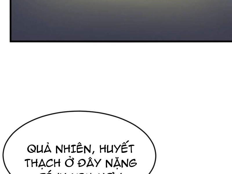 Ngươi Là Hạng Người Gì Cũng Dám Ở Tiên Giới Lên Mặt Với Ta?