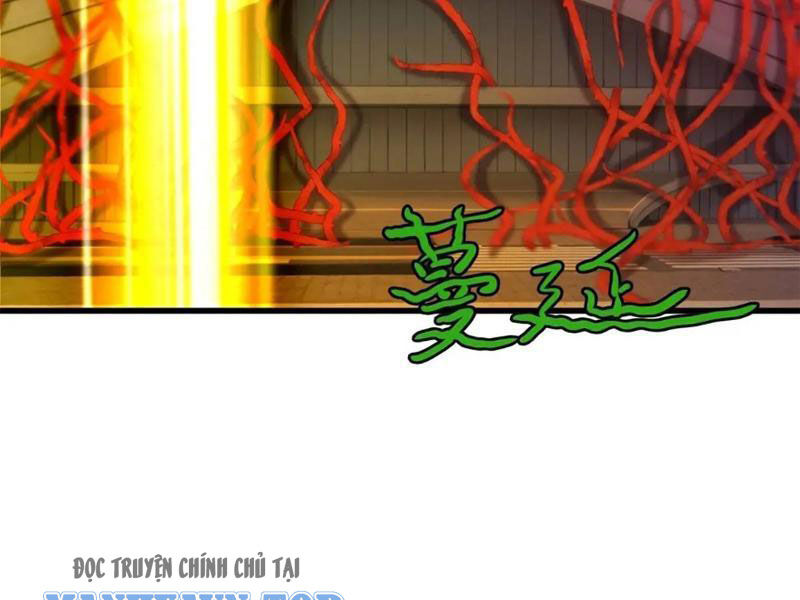 Ngươi Là Hạng Người Gì Cũng Dám Ở Tiên Giới Lên Mặt Với Ta?