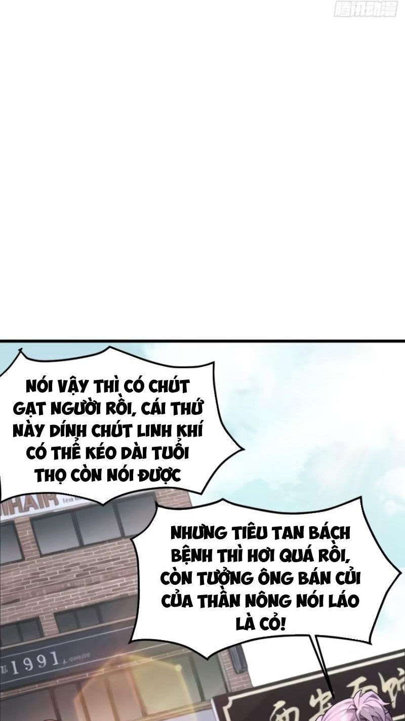 Ngươi Là Hạng Người Gì Cũng Dám Ở Tiên Giới Lên Mặt Với Ta?