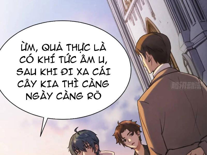 Ngươi Là Hạng Người Gì Cũng Dám Ở Tiên Giới Lên Mặt Với Ta?