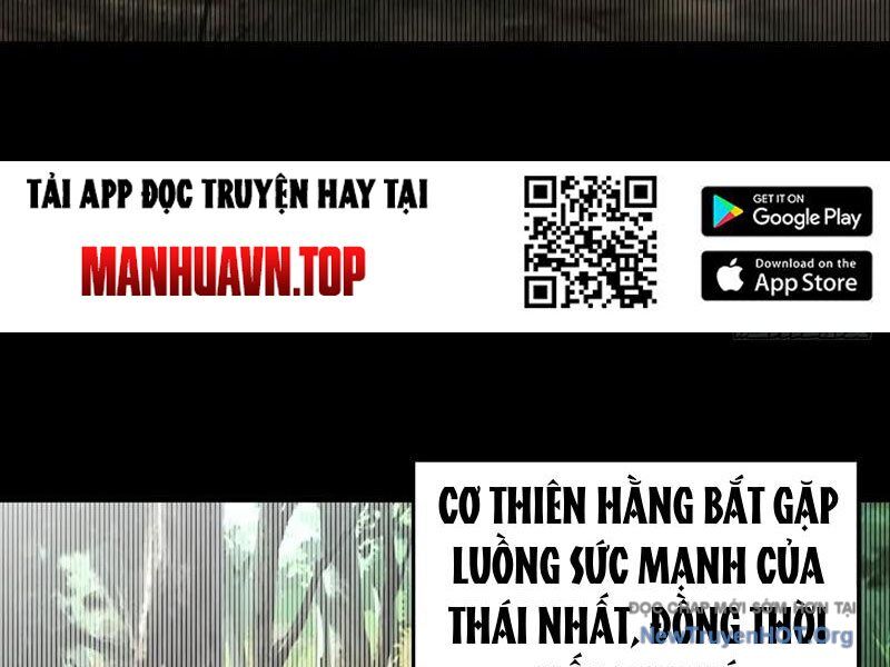 Ngươi Là Hạng Người Gì Cũng Dám Ở Tiên Giới Lên Mặt Với Ta?