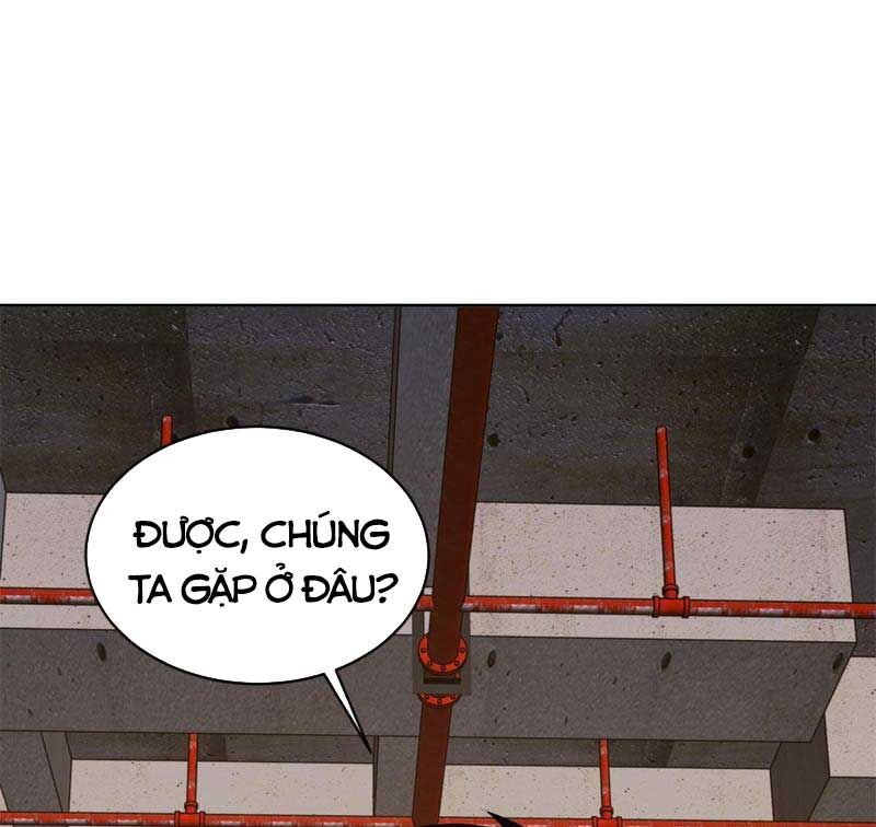 Đấu Chiến Cuồng Triều