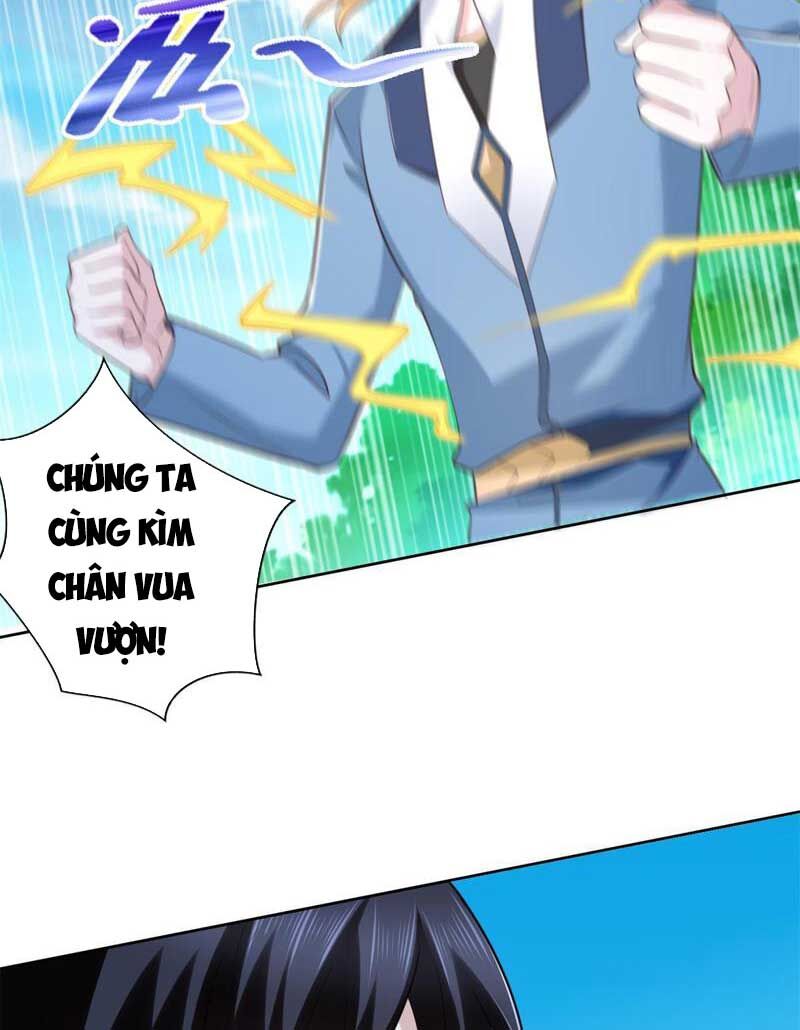Đấu Chiến Cuồng Triều