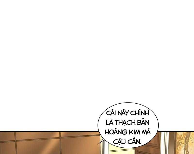 Đấu Chiến Cuồng Triều