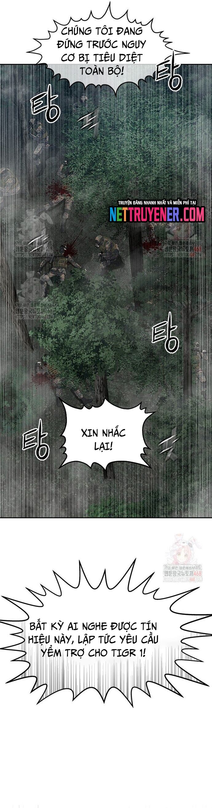 Đội trưởng lính đánh thuê