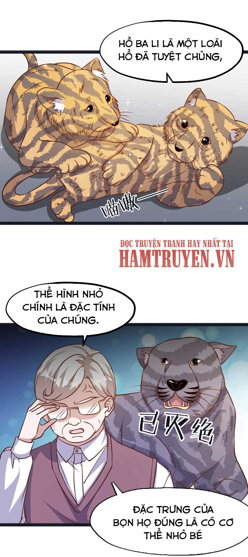 Thần Cấp Ngư Phu