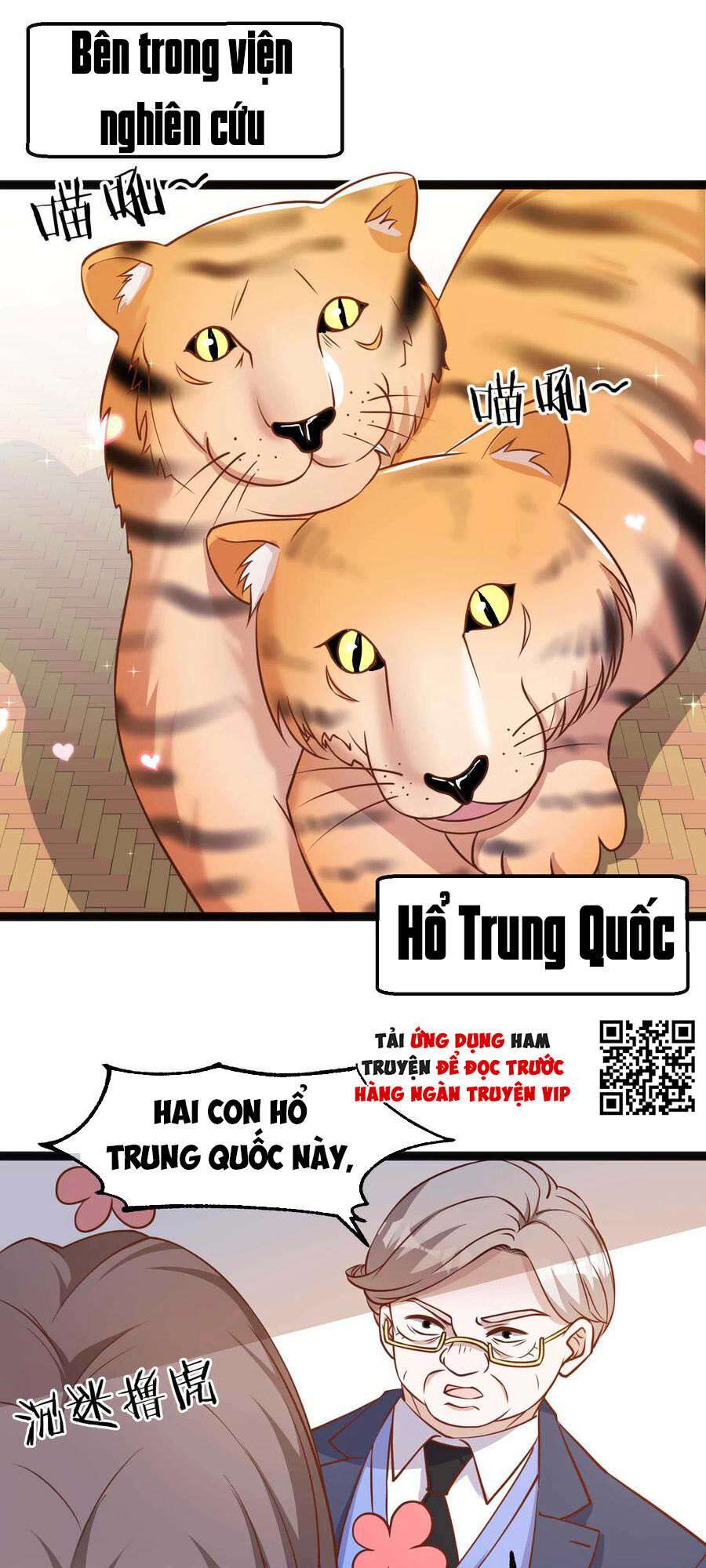 Thần Cấp Ngư Phu