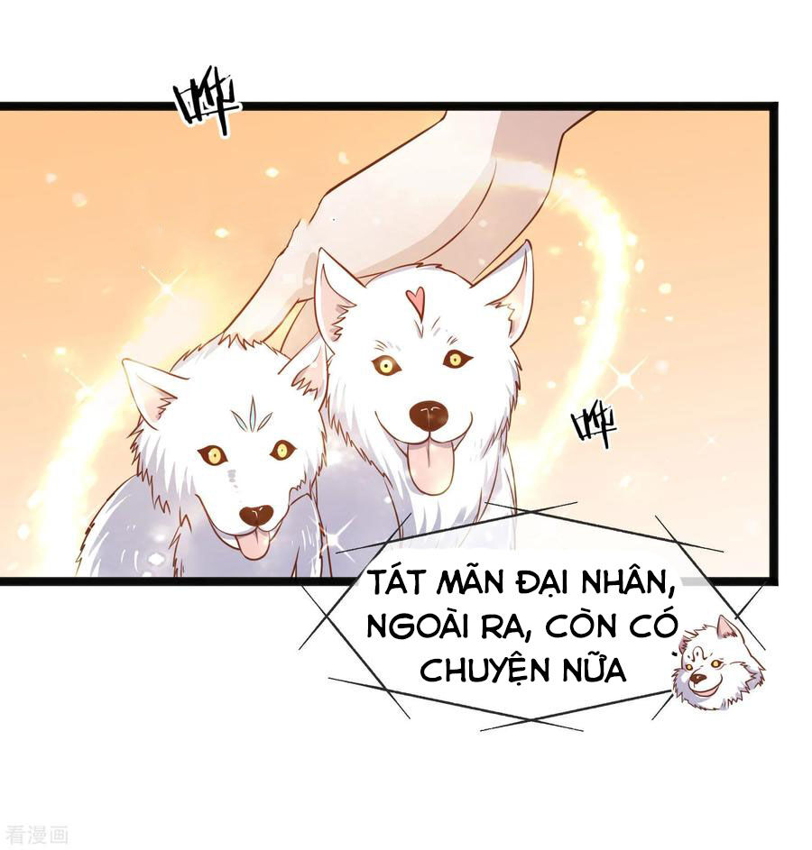 Thần Cấp Ngư Phu