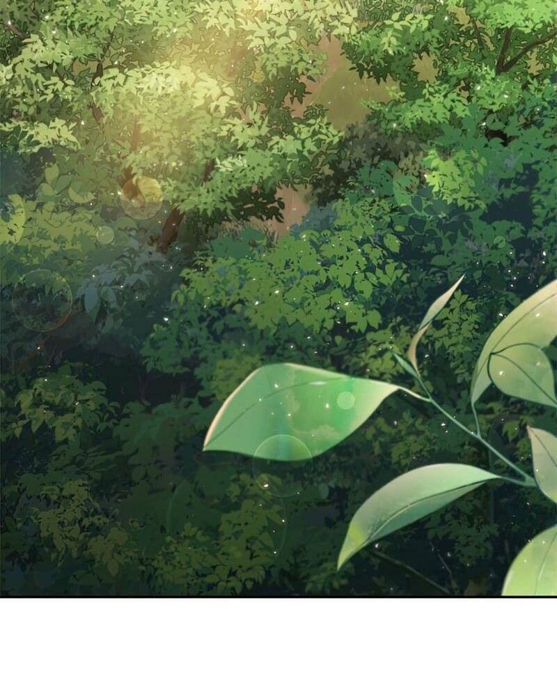 Hồi Quy Thành Công Tước
