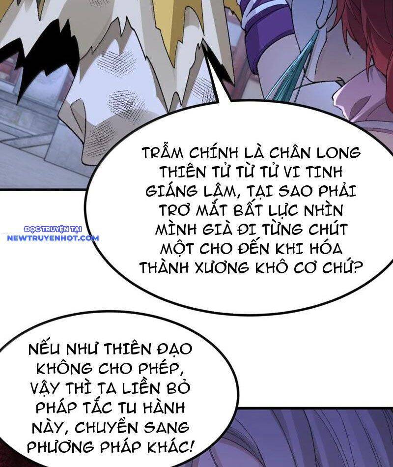 Nhị Sư Huynh Tuy Là Phàm Nhân Nhưng Rất Mạnh Mẽ