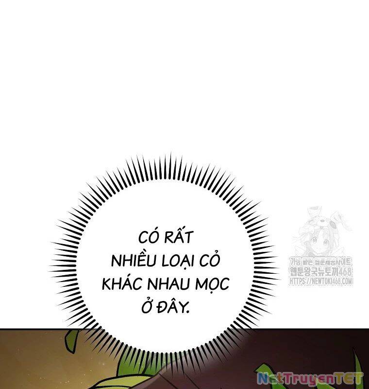 Tái Thiết Hầm Ngục