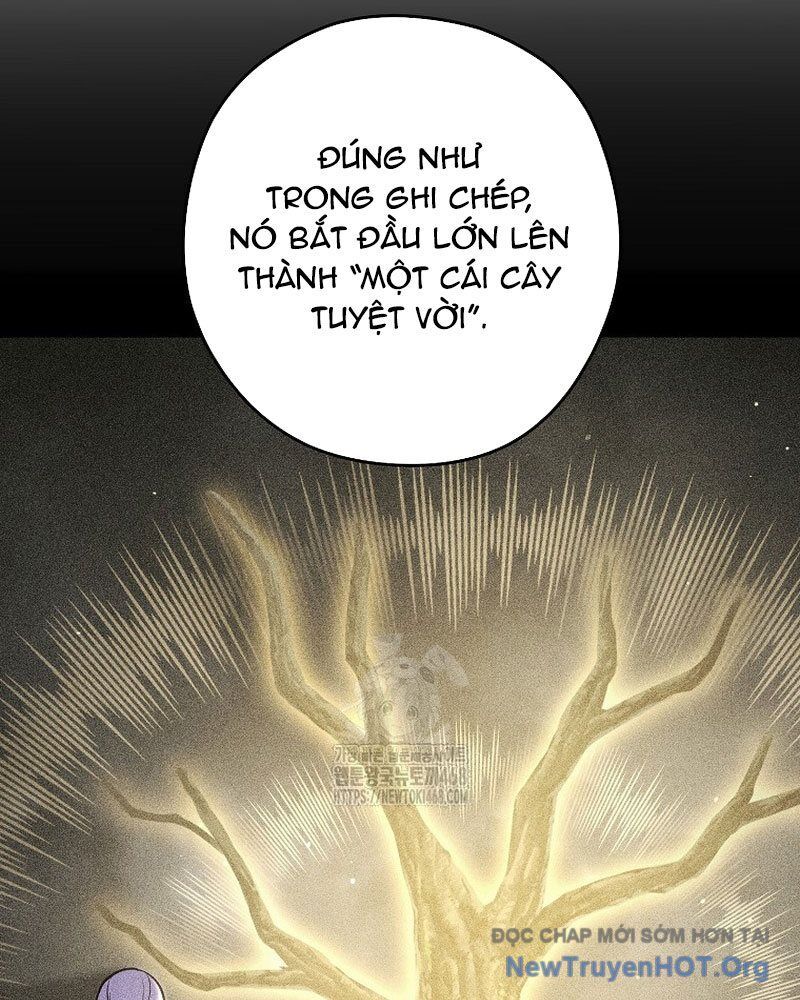 Tái Thiết Hầm Ngục