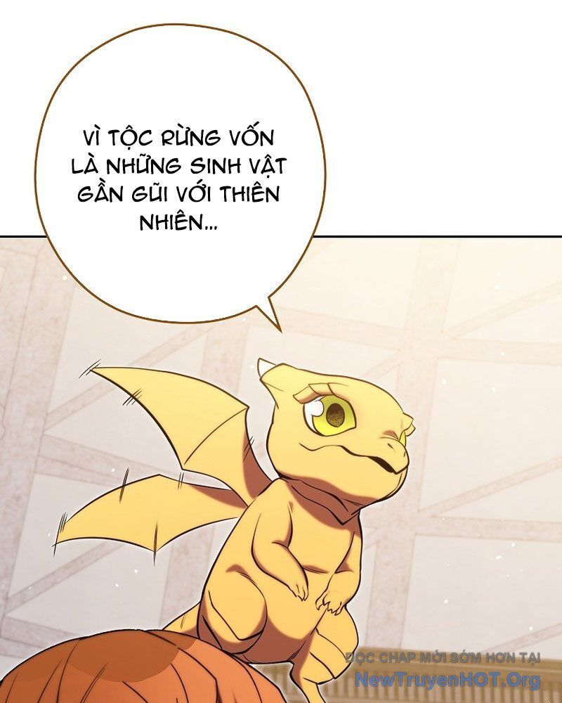 Tái Thiết Hầm Ngục