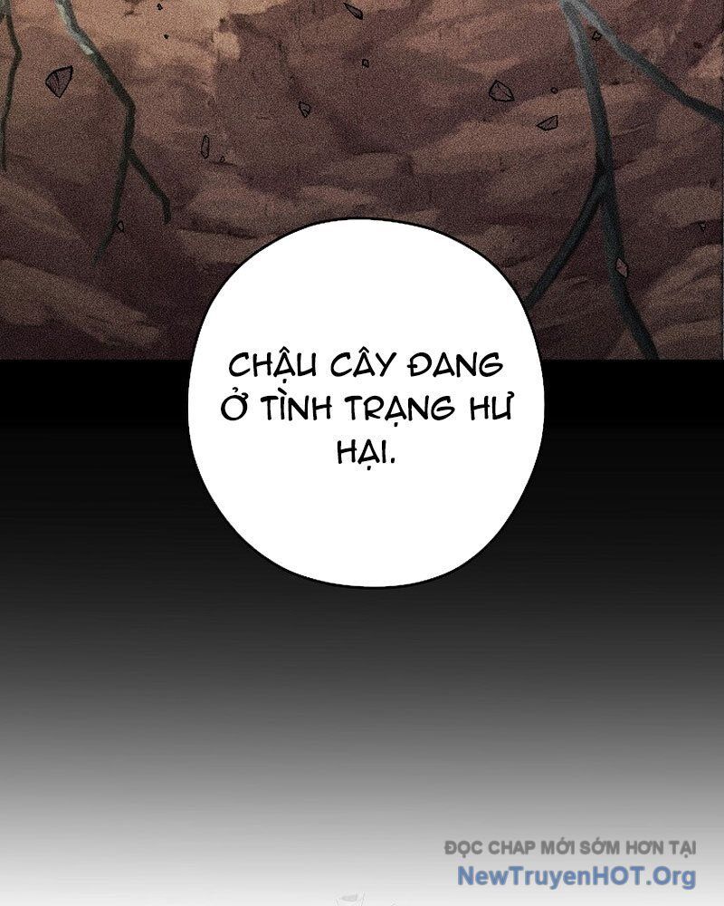 Tái Thiết Hầm Ngục