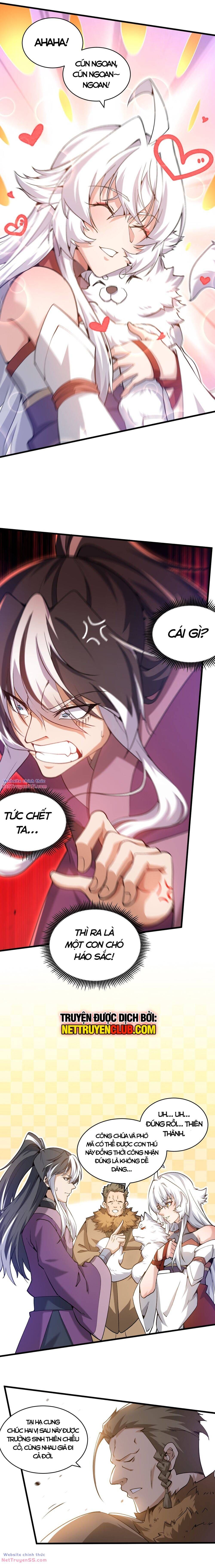 Vạn Cổ Tối Cường Phò Mã