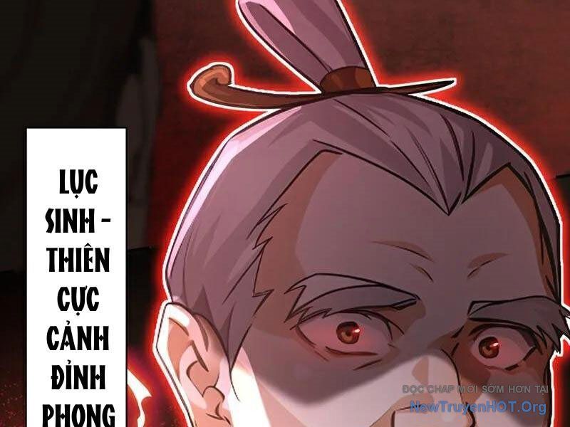 Ta , Thần Long Chi Hậu