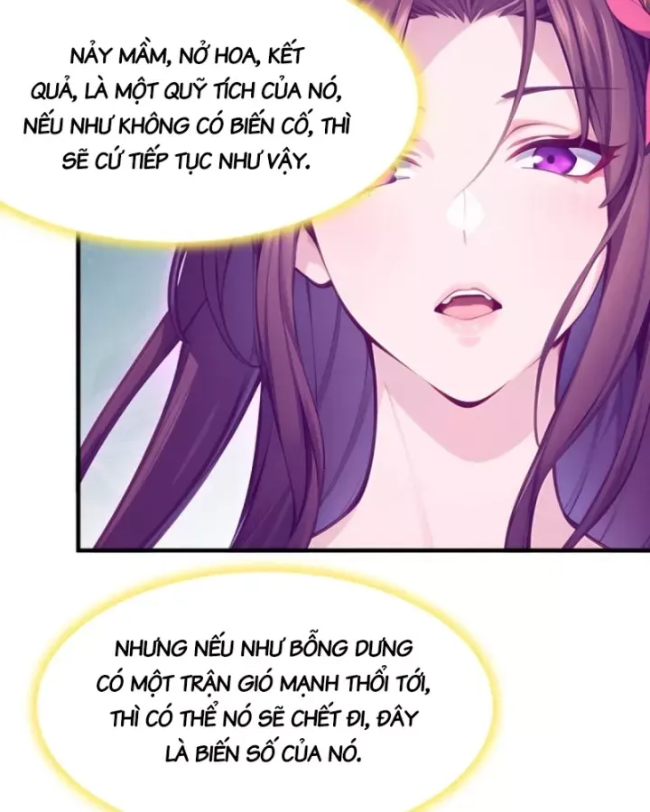 Ta , Thần Long Chi Hậu