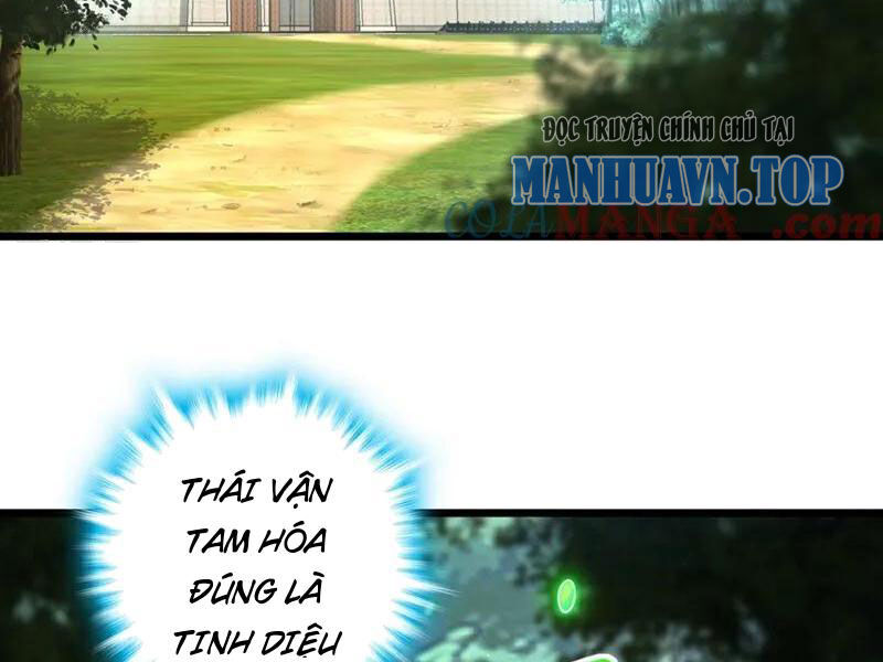 Ta , Thần Long Chi Hậu