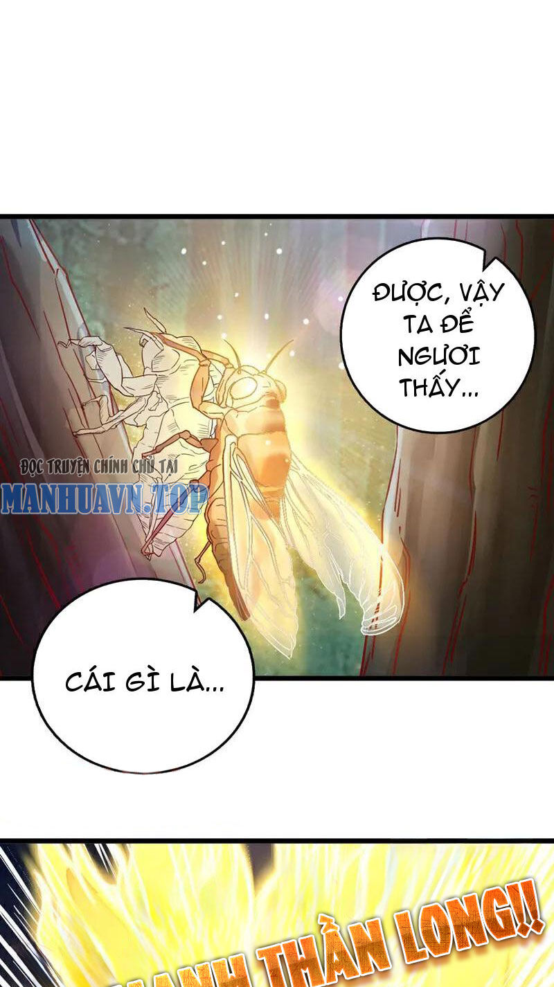 Ta , Thần Long Chi Hậu