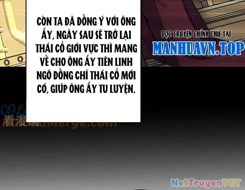 Đệ Tử Tu Luyện Còn Ta Thì Lười Biếng