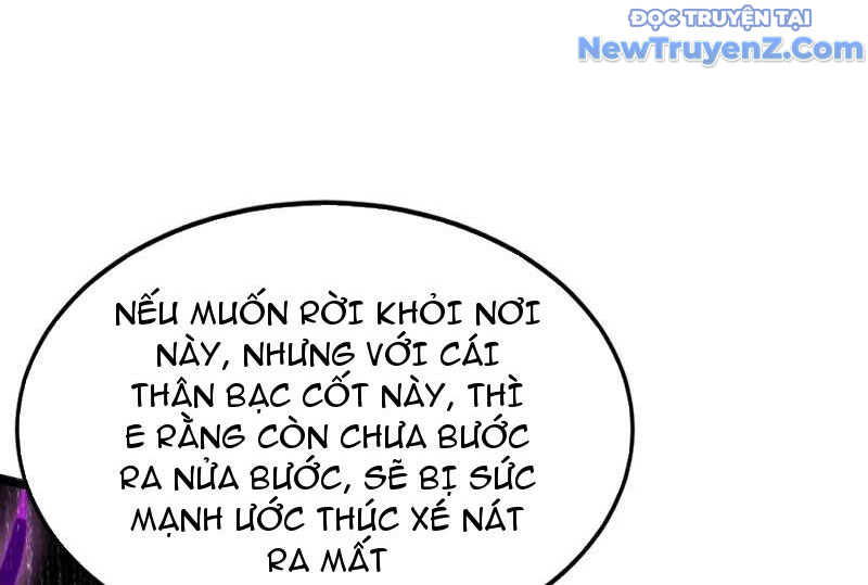 Đệ Tử Tu Luyện Còn Ta Thì Lười Biếng