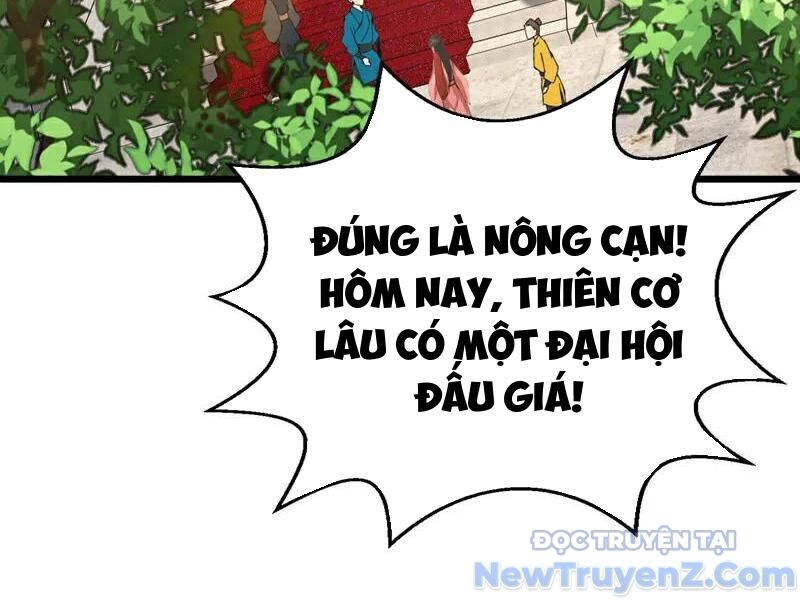 Đệ Tử Tu Luyện Còn Ta Thì Lười Biếng