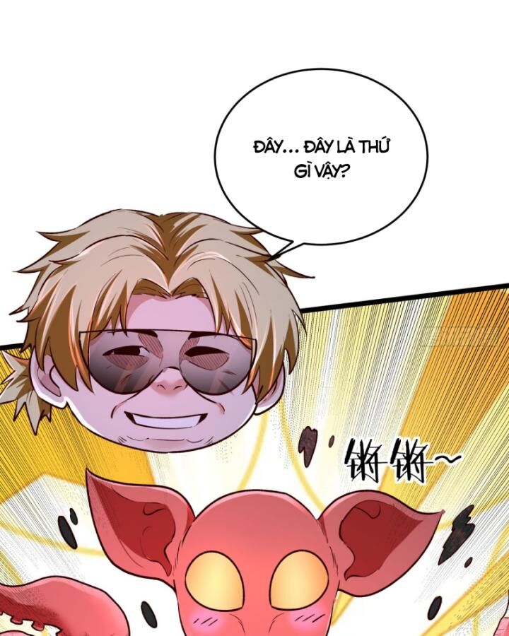 Từ Hồng Nguyệt Khai Thủy