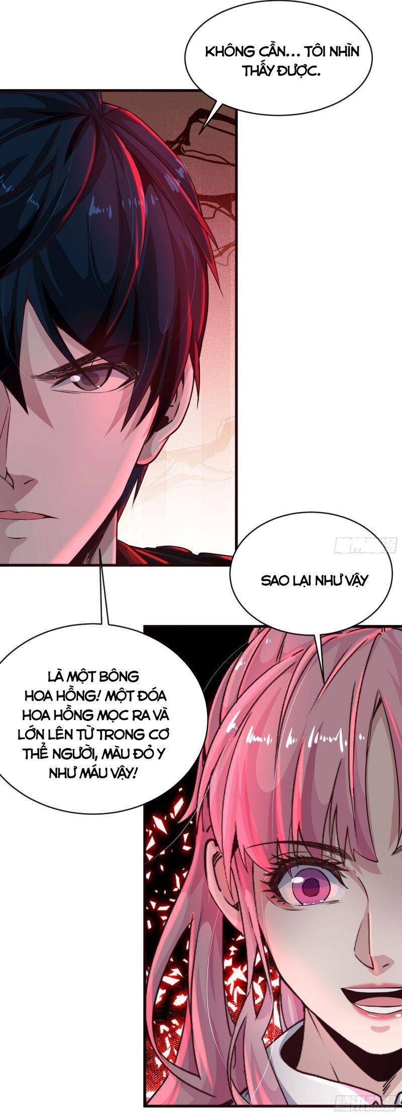 Từ Hồng Nguyệt Khai Thủy