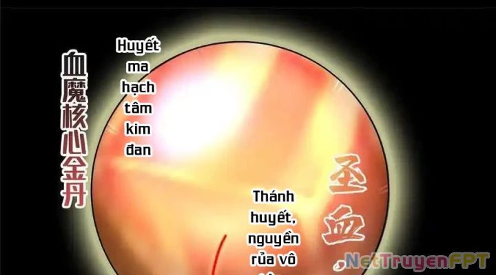 Tu Chân Nói Chuyện Phiếm Quần