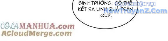 Tu Chân Nói Chuyện Phiếm Quần