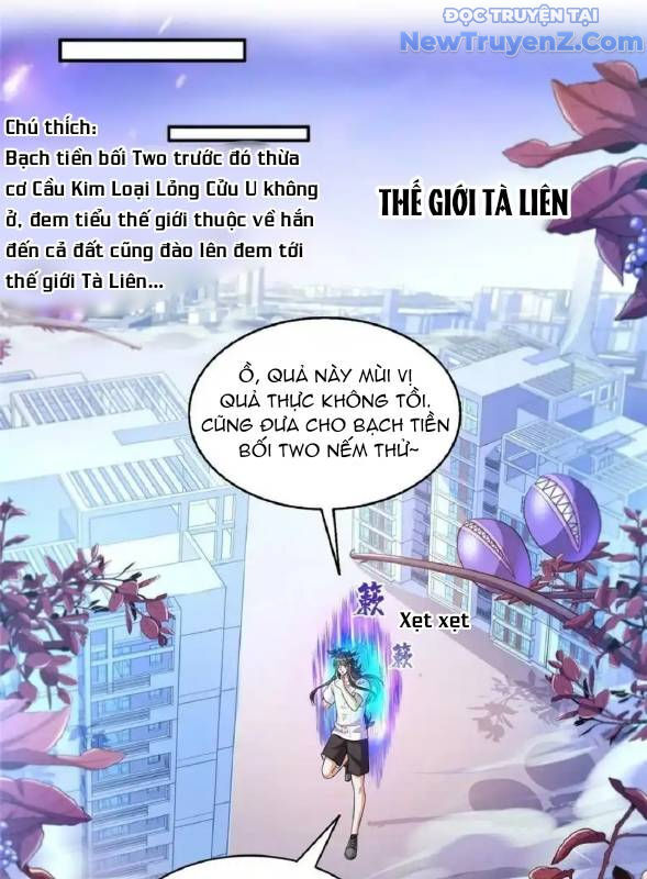 Tu Chân Nói Chuyện Phiếm Quần