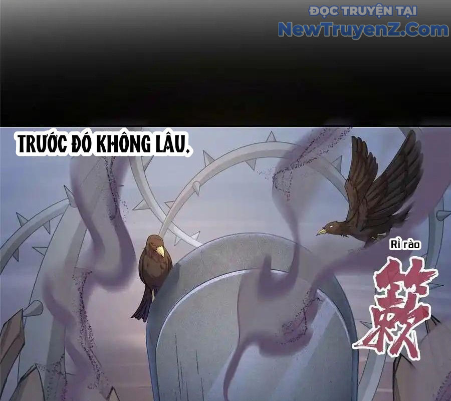 Tu Chân Nói Chuyện Phiếm Quần