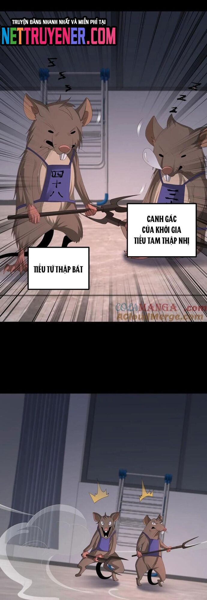 Ngày tôi sinh ra, bách quỷ dạ hành, tuyết thi hộ đạo