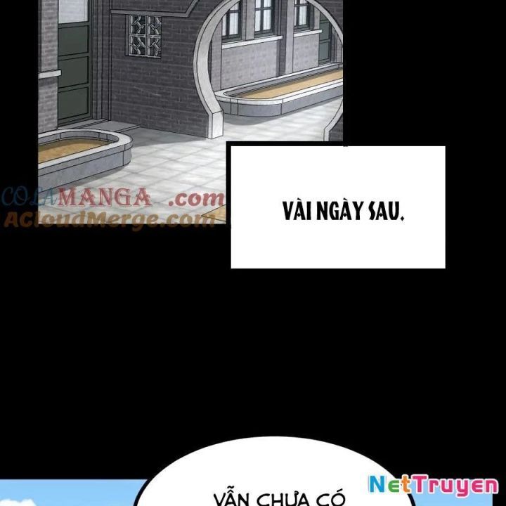 Ngày tôi sinh ra, bách quỷ dạ hành, tuyết thi hộ đạo