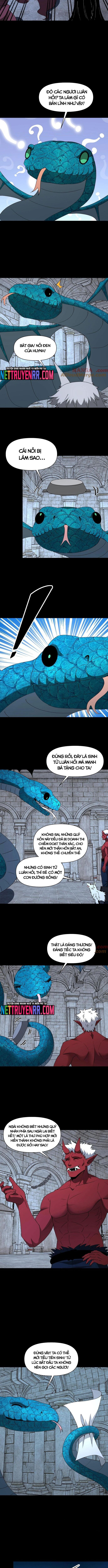 Ngày tôi sinh ra, bách quỷ dạ hành, tuyết thi hộ đạo