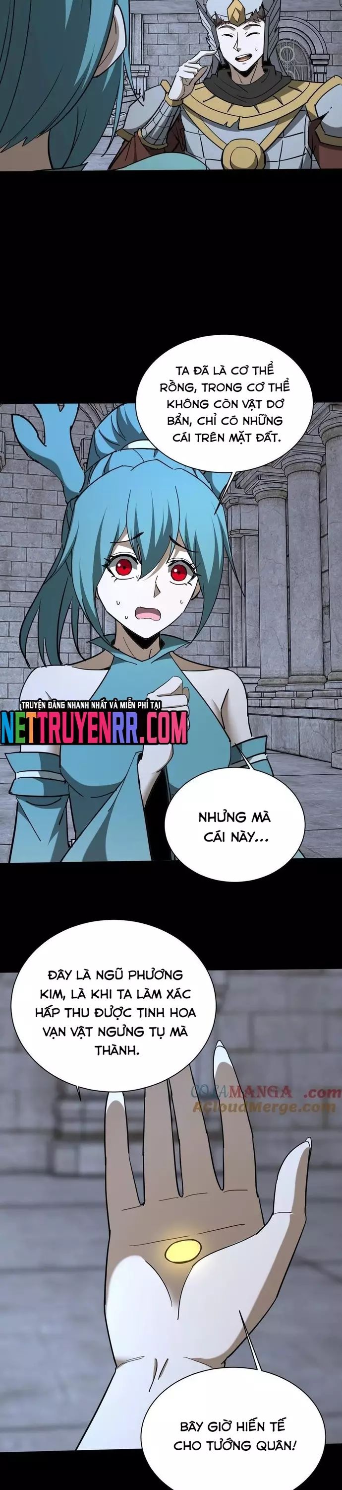 Ngày tôi sinh ra, bách quỷ dạ hành, tuyết thi hộ đạo