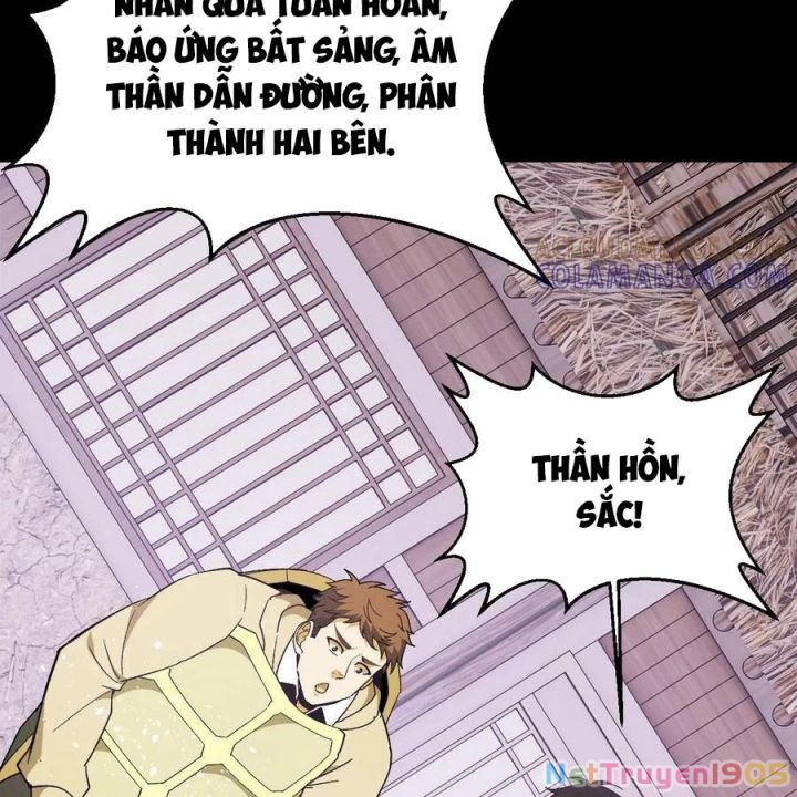 Ngày tôi sinh ra, bách quỷ dạ hành, tuyết thi hộ đạo